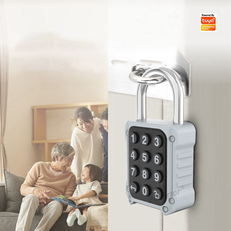 EGFirtor Tuya APP Serrure de p - Lockbox Key Secure avis et prix