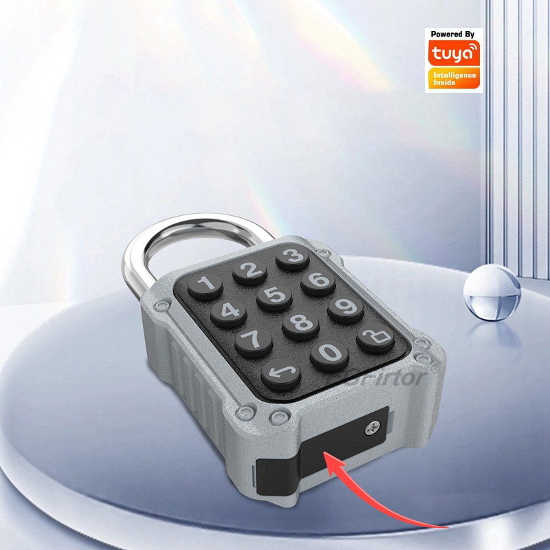 EGFirtor Tuya APP Serrure de p - Lockbox Key Secure avis et prix